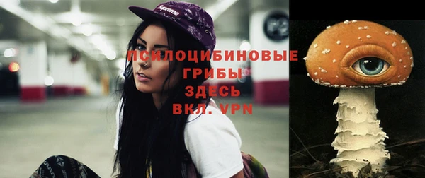 крисы Армянск