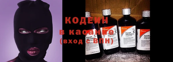 крисы Армянск