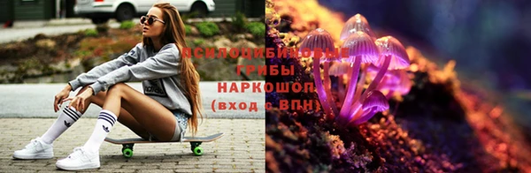 мяу мяу мука Арсеньев