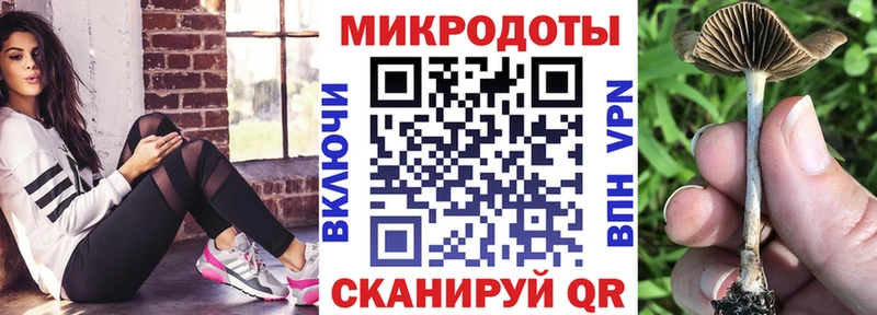 Галлюциногенные грибы Psilocybine cubensis Белорецк